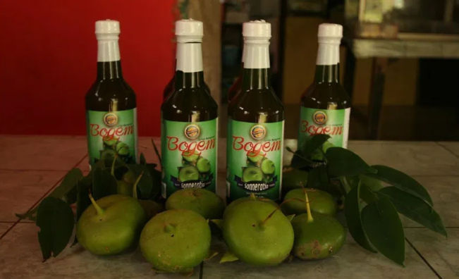 Sirup Bogem Mangrove, 1. Nasi Goreng Jancuk, 2. Sego Sambel Khas Surabaya, 3. Nasi Cumi Nikmat Surabaya, 4. Nasi Campur Tambak Bayan, 5. Nasi Empal Pengampon, 6. Nasi Krawu Surabaya, 7. Rujak Cingur Khas Surabaya, 8. Tahu Tek Surabaya, 9. Pecel Semanggi, 10. Sate Klopo, 11. Sate Lisidu, 12. Sate Karak, 13. Lontong Kupang, 14. Lontong Balap Paling Enak, 15. Mie Akhirat Kota SBY, 16. Mie Pecun, 17. Bebek Mercon, 18. Bebek Palupi, 19. Bebek Goreng Sinjay, 20. Bebek Tugu Pahlawan, 21. Rawon Kalkulator Taman Bungkul, 22. Rawon Setan Khas Surabaya, 23. Belut Spesial Khas Surabaya, 24. Soto Lamongan Cak Har, 25. Kepiting Cak Gundul, 26. Tahu Campur , 27. Surabaya Snowcake , 28. Almond Crispy Cheese, 29. Es Krim Zangrandi , 30. Soto Gubeng, 31. Pohong Tata, 32. Lapis Surabaya, 33. Sirup Bogem Mangrove