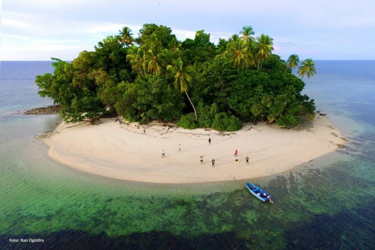 Surga Bawah Laut di Taman Nasional Teluk Cenderawasih Foto Ran Ogistra