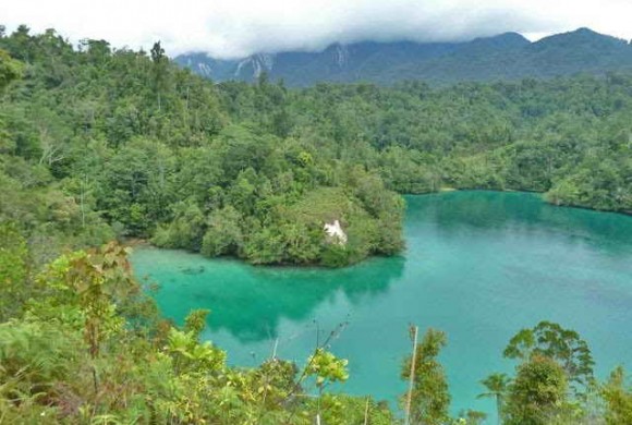 Telaga Biru, Wamena