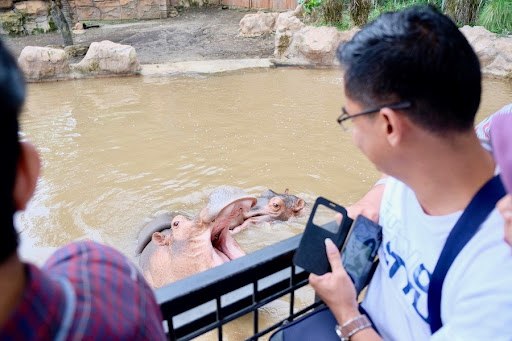 Zona Amfibi via Hetheregrace, Lokasi Batu Secret Zoo, Jam Buka dan Harga Tiket Batu Secret Zoo, Koleksi Satwa di Batu Secret Zoo, Zona Hewan Batu Secret Zoo, Wahana Menarik di Batu Secret Zoo, Fasilitas Umum di Sekitar Batu Secret Zoo, Tips Berlibur di Batu Secret Zoo