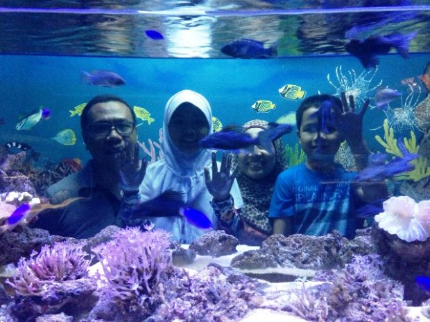 Zona Aquarium Batu Secret Zoo via Nurulsufitri, Lokasi Batu Secret Zoo, Jam Buka dan Harga Tiket Batu Secret Zoo, Koleksi Satwa di Batu Secret Zoo, Zona Hewan Batu Secret Zoo, Wahana Menarik di Batu Secret Zoo, Fasilitas Umum di Sekitar Batu Secret Zoo, Tips Berlibur di Batu Secret Zoo