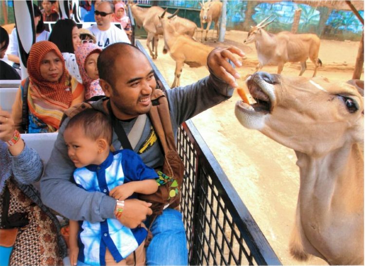 Zona Safari Farm via Buzzerbezz, Lokasi Batu Secret Zoo, Jam Buka dan Harga Tiket Batu Secret Zoo, Koleksi Satwa di Batu Secret Zoo, Zona Hewan Batu Secret Zoo, Wahana Menarik di Batu Secret Zoo, Fasilitas Umum di Sekitar Batu Secret Zoo, Tips Berlibur di Batu Secret Zoo