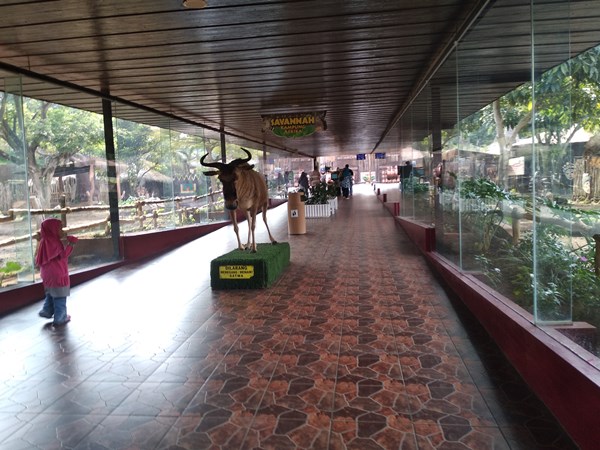 Zona Savanah via Bundadzakiyyah, Lokasi Batu Secret Zoo, Jam Buka dan Harga Tiket Batu Secret Zoo, Koleksi Satwa di Batu Secret Zoo, Zona Hewan Batu Secret Zoo, Wahana Menarik di Batu Secret Zoo, Fasilitas Umum di Sekitar Batu Secret Zoo, Tips Berlibur di Batu Secret Zoo