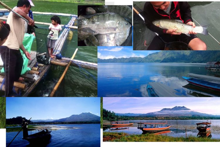 wisata fishing di tepian danau batur, Mengapa Anda harus mengunjungi Danau Batur Kintamani?, …Anda akan merasakan kesejukan dan ketenangan dengan panorama indah yang luar biasa., Jalan/Lokasi untuk mengakses ke Danau Batur Kintamani, 5 Kegiatan menarik ini yang bisa dilakukan di Danau Batur Kintamani dan sekitarnya, Harga Tiket Masuk Masuk dan Parkir Danau Batur 