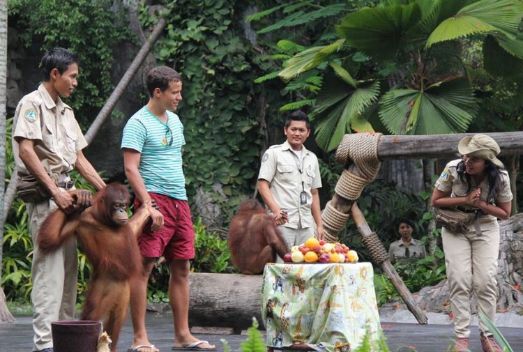Animal Show, Alamat dan Kontak Bali Safari Marine Park, Mau yang lebih seru?   Anda dapat merasakan sensasi bersafari dengan menunggangi gajah!, Nikmati wisata Night Safari dengan menginap di Mara River Safari Logde, Jam Buka dan Harga Tiket Masuk Bali Safari Marine Park, Tips Liburan ke Bali Safari Marine Park, Testimonial Bali Safari Marine Park yang diambil dari TripAdvisor