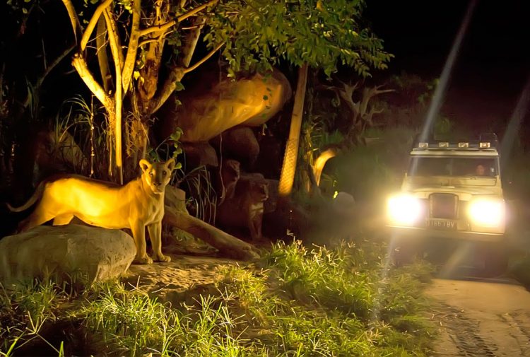Bali Night Safari, Alamat dan Kontak Bali Safari Marine Park, Mau yang lebih seru?   Anda dapat merasakan sensasi bersafari dengan menunggangi gajah!, Nikmati wisata Night Safari dengan menginap di Mara River Safari Logde, Jam Buka dan Harga Tiket Masuk Bali Safari Marine Park, Tips Liburan ke Bali Safari Marine Park, Testimonial Bali Safari Marine Park yang diambil dari TripAdvisor