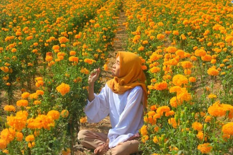 Bali Gemitir Bedugul via Pinterest