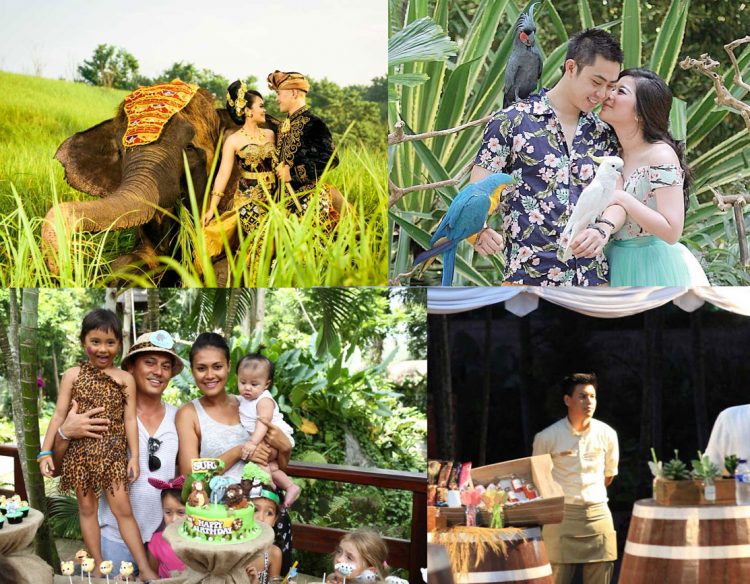 Bali zoo event, Bali Zoo Park, Mengapa kita harus berkunjung ke Kebun Binatang ini?, Bali Zoo Park ternyata Open Siang dan Malam Hari, Dimanakah Lokasi Bali Zoo Park ini?, Obyek wisata ini juga cocok untuk anak-anak, Ingin life event anda semakin sempurna?, Jam buka dan biaya masuk Kebun Binatang Bali, Testimoni Visitor di Bali Zoo diambil dari TripAdvisor