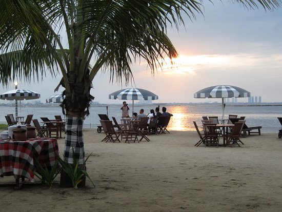 Jimbaran Resto via Tripadvisor, 1. Ombak Tepi Laut, 2. Marina Kitchen, 3. Jimbaran Resto, 4. Talaga Sampireun (Tutup), 5. Le Bridge, 6. Segarra Ancol (Tutup), 7. Bandar Djakarta, 8. Seaside Suki (Tutup Permanen), 9. Nelayan Seafood Restaurant (Tutup), 10. Gubug Makan Mang Engking Ancol, 11. The Pier Bay Kalaha, 12. Teratai Restaurant- Discovery Hotel (Tutup), 13. A&amp;W Ancol, 14. Nyiur Resto, 15. Oceanic Seabreeze (Tutup), 16. Saung Layaran, 17. 33 Degress Rooftop Lounge And Bar, 18. Ayam Tepi Laut, 19. Columbus Cafe, 20. BEACHFOOD ANCOL, 21. Sunda Kelapa Seafood