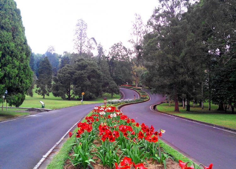 Kebun Raya Eka Karya Bedugul