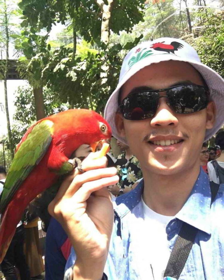 Lory Feeding via Ig @majide058, Taman Burung Bali Bird Park, Harga Tiket Masuk untuk Wisatawan Domestik, Jam Buka , Apa yang menarik di Bali Bird Park?, Ruang hidup yang tertata dengan baik dengan 50 pohon Palm dan 2000 Tanaman Tropis, Melihat pusat perkembangbiakan burung dari bertelur sampai menetas, Lokasi restauran dan cafe yang menyenangkan dengan suasana alam dan kicauan burung, Atraksi dan Pertunjukan di Bali Bird Park, Jadwal Pertunjukan, Tips Liburan ke Bali Bird Park, Cara Terbaik Menuju Lokasi Bali Bird Park Gianyar, Waktu Terbaik Liburan Ke Bird Park Gianyar