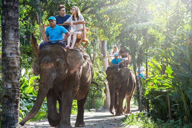 Menaiki Gajah dan menikmati pemandangan tropis Bali, Bali Zoo Park, Mengapa kita harus berkunjung ke Kebun Binatang ini?, Bali Zoo Park ternyata Open Siang dan Malam Hari, Dimanakah Lokasi Bali Zoo Park ini?, Obyek wisata ini juga cocok untuk anak-anak, Ingin life event anda semakin sempurna?, Jam buka dan biaya masuk Kebun Binatang Bali, Testimoni Visitor di Bali Zoo diambil dari TripAdvisor
