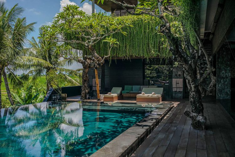 Menikmati kesegaran mandi di kolam renang dengan pemandangan persawahan, 1. Villa Ombak Laut – villa pinggir pantai dengan 6 kamar tidur di Canggu Bali, 2. Villa Mana – villa pemandangan sawah dengan 5 kamar tidur di Canggu Bali, 3. Villa Mako – villa private dengan 3 kamar tidur di Canggu Bali, 4. Villa Mahatma House, Villa 5 kamar tidur di Pinggir Pantai  Canggu Bali, 5. Villa Levi – villa pinggir sungai dengan 5 kamar tidur di Canggu Bali, 6. Villa Kudus – villa private dengan 5 kamar tidur di Canggu Bali, 7. Villa Kalyani – villa private 5 kamar tidur di Canggu Bali, 8. Villa Pangi Gita – villa private dengan 3 kamar tidur di Canggu Bali, 9. Villa Asmara, 10. Asatu Villa, 11. The Bali Dream, 12. Villa Sahaja, 14. Aswattha Villa, 15. The Tamantis, 16. Villa Senara, 17. Aksata Villas, 18. The Canggu Boutique, 19. Regali Villa, 20. The Loft Villas
