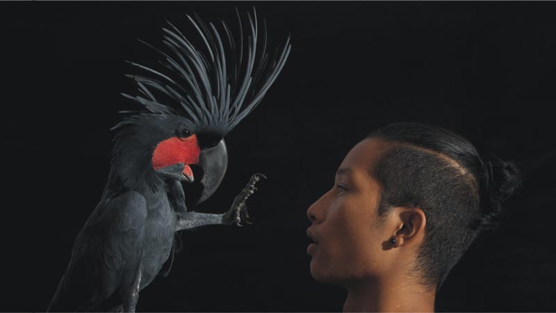 Meet The Bird Star, Taman Burung Bali Bird Park, Harga Tiket Masuk untuk Wisatawan Domestik, Jam Buka , Apa yang menarik di Bali Bird Park?, Ruang hidup yang tertata dengan baik dengan 50 pohon Palm dan 2000 Tanaman Tropis, Melihat pusat perkembangbiakan burung dari bertelur sampai menetas, Lokasi restauran dan cafe yang menyenangkan dengan suasana alam dan kicauan burung, Atraksi dan Pertunjukan di Bali Bird Park, Jadwal Pertunjukan, Tips Liburan ke Bali Bird Park, Cara Terbaik Menuju Lokasi Bali Bird Park Gianyar, Waktu Terbaik Liburan Ke Bird Park Gianyar