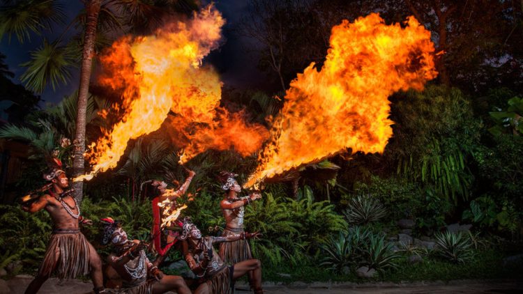 Paket Night at the Zoo, Bali Zoo Park, Mengapa kita harus berkunjung ke Kebun Binatang ini?, Bali Zoo Park ternyata Open Siang dan Malam Hari, Dimanakah Lokasi Bali Zoo Park ini?, Obyek wisata ini juga cocok untuk anak-anak, Ingin life event anda semakin sempurna?, Jam buka dan biaya masuk Kebun Binatang Bali, Testimoni Visitor di Bali Zoo diambil dari TripAdvisor