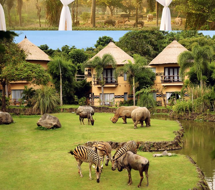 Penginapan Mara River Safari Lodge, Alamat dan Kontak Bali Safari Marine Park, Mau yang lebih seru?   Anda dapat merasakan sensasi bersafari dengan menunggangi gajah!, Nikmati wisata Night Safari dengan menginap di Mara River Safari Logde, Jam Buka dan Harga Tiket Masuk Bali Safari Marine Park, Tips Liburan ke Bali Safari Marine Park, Testimonial Bali Safari Marine Park yang diambil dari TripAdvisor