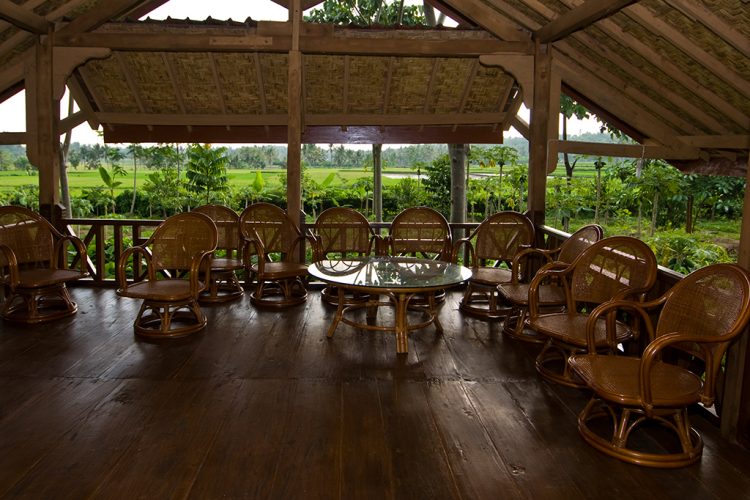 Pojok Baca, Wahana Taman Botani Sukorambi, Fasilitas Taman Botani Sukorambi, Jam Operasional, Harga Tiket Masuk, Tips Wisata