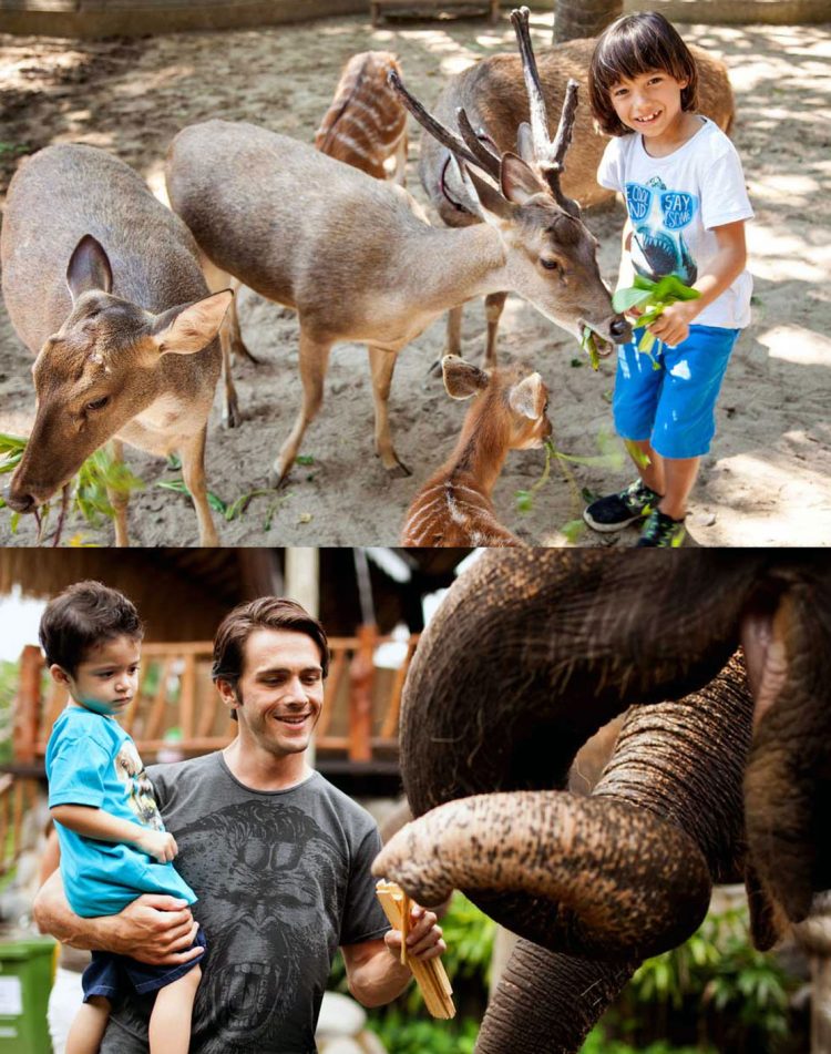 Program hand-feeding the animal di kebun binatang Bali, Bali Zoo Park, Mengapa kita harus berkunjung ke Kebun Binatang ini?, Bali Zoo Park ternyata Open Siang dan Malam Hari, Dimanakah Lokasi Bali Zoo Park ini?, Obyek wisata ini juga cocok untuk anak-anak, Ingin life event anda semakin sempurna?, Jam buka dan biaya masuk Kebun Binatang Bali, Testimoni Visitor di Bali Zoo diambil dari TripAdvisor