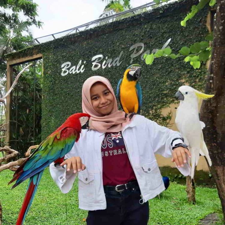 Taman Burung Bali Bird Park, Alamat &amp; Peta Lokasi Pasar Sukawati Bali, Jarak &amp; Waktu Tempuh Ke Pasar Sukawati Gianyar, Pilihan Transportasi Ke Pasar Sukawati, Obyek Wisata Di Dekat Pasar Seni Sukawati, Daya Tarik Pasar Seni Sukawati, Tempat Membeli Oleh-Oleh Khas Bali