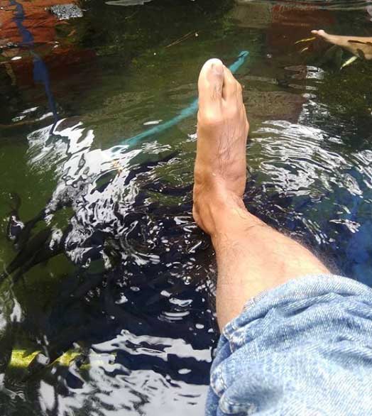 Terapi ikan via IG @abdulhkm18, Wahana Pemandian Air Panas Ciwalini, Fasilitas, Jam Operasional, Rute Menuju Lokasi Pemandian Air Panas Ciwalini, Harga Tiket Masuk