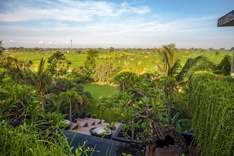 Villa Mana dengan Landscape Pemandangan Sawah, 1. Villa Ombak Laut – villa pinggir pantai dengan 6 kamar tidur di Canggu Bali, 2. Villa Mana – villa pemandangan sawah dengan 5 kamar tidur di Canggu Bali, 3. Villa Mako – villa private dengan 3 kamar tidur di Canggu Bali, 4. Villa Mahatma House, Villa 5 kamar tidur di Pinggir Pantai  Canggu Bali, 5. Villa Levi – villa pinggir sungai dengan 5 kamar tidur di Canggu Bali, 6. Villa Kudus – villa private dengan 5 kamar tidur di Canggu Bali, 7. Villa Kalyani – villa private 5 kamar tidur di Canggu Bali, 8. Villa Pangi Gita – villa private dengan 3 kamar tidur di Canggu Bali, 9. Villa Asmara, 10. Asatu Villa, 11. The Bali Dream, 12. Villa Sahaja, 14. Aswattha Villa, 15. The Tamantis, 16. Villa Senara, 17. Aksata Villas, 18. The Canggu Boutique, 19. Regali Villa, 20. The Loft Villas