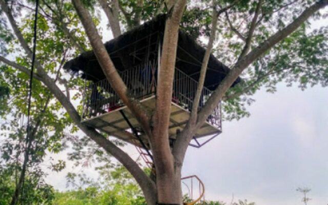 Wahana Rumah pohon via goole maps August Rhequivalent, Wahana Taman Botani Sukorambi, Fasilitas Taman Botani Sukorambi, Jam Operasional, Harga Tiket Masuk, Tips Wisata