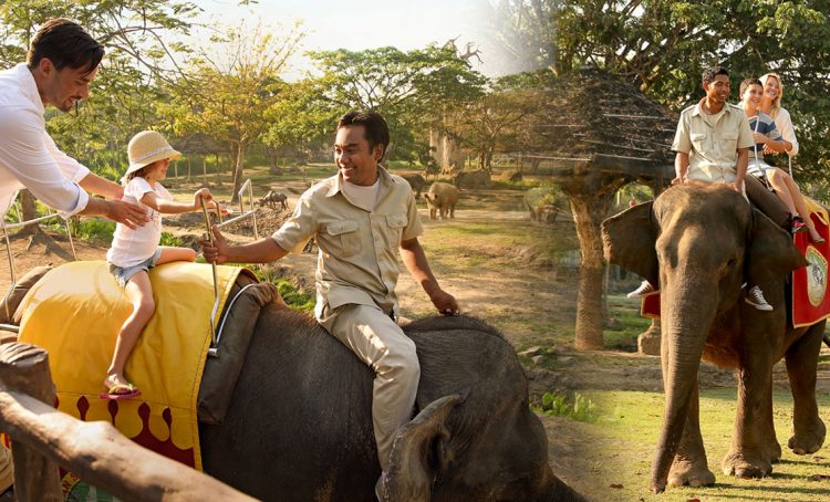 Naik Gajah di Bali Safari Marine Park, Alamat dan Kontak Bali Safari Marine Park, Mau yang lebih seru?   Anda dapat merasakan sensasi bersafari dengan menunggangi gajah!, Nikmati wisata Night Safari dengan menginap di Mara River Safari Logde, Jam Buka dan Harga Tiket Masuk Bali Safari Marine Park, Tips Liburan ke Bali Safari Marine Park, Testimonial Bali Safari Marine Park yang diambil dari TripAdvisor