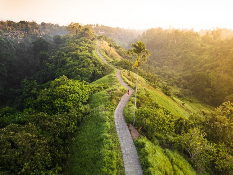 Campuhan Hill via Omnivagant, Hari ke 1;, Mejelajah persawahan dan Monkey Forest, Hari ke 2, Hikking ke Sunrise terbaik di Dunia &amp; Kelas Memasak atau besantai, Itinerary Ubud Hari ke 3, Sunrise Campuhan Hill, Explore Pasar Ubud &amp; Gunung Kawi