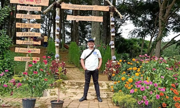 Spot Instagramable via IG @misterjalanjalan.id, Lokasi Wisata Alam Situ Wanayasa, Jam Operasional, Harga Tiket Masuk Situ Wanayasa, Fasilitas, Spot Wisata di Situ Wanayasa, Tips Berkunjung
