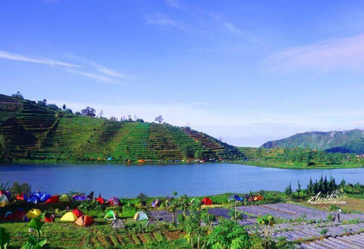 Camping di Telaga Cebong via Putra Sikunir, Lokasi Dan Akses Menuju Telaga Cebong Dieng, Harga Tiket Masuk, Penginapan terdekat, Keunikan Dibalik Keelokan Telaga Cebong, 3 Kegiatan yang Harus Anda Coba