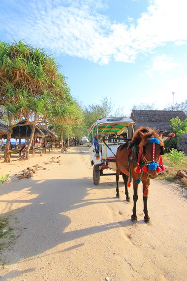 Cidomo merupakan transportasi khas jika Anda berkunjung ke Gili Meno, Akses ke Lokasi Wisata Gili Meno, Transportasi Ke Gili Meno Dari Bali, Biaya &amp; Waktu Kapal Penyeberangan Ke Gili Trawangan, Keunikan Obyek Wisata Gili Meno Lombok, Suasana dan Kondisi di Gili Meno Lombok, Daya Tarik Wisata Pulau Gili Meno, Pantai Gili Meno, Moda Transportasi, Infrastruktur, Aktivitas Liburan Menarik di Pulau Gili Meno