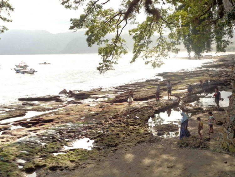 Gugusan koral indah (c) Akbar Dedy P Travelingyuk, Lokasi Dan Harga Tiket Pantai Popoh Tulungagung, Rute Menuju Lokasi Pantai Popoh Tulungagung, Aktivitas Seru di Pantai Popoh Tulungagung, Keunikan Pantai Popoh Tulungagung, Infrastruktur di Pantai Popoh Tulungagung