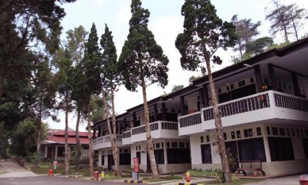 Hotel Ciloto Indah Permai Puncak via Tripadvisor, 1. Metropole Hotel Puncak, 2. Agape Gunung Bakti, 3. Arimbi Cibulan Suites, 4. Hotel Ciliwung, 5. Berlian Resort, 6. Airy Eco Syariah Cisarua Lembah Nyiur 68 Bogor (Tutup), 7. Hotel Mars 91, 8. Permata Hati Resort, 9. New Laguna Resort, 10. Villa Bumi Rama, 11. Aries Biru Villa &amp; Hotel, 12. Hotel Ciloto Indah Permai Puncak, 13. RedDoorz Syariah near RSUD Cimacan, 14. OYO 1667 Edotel SMKN 1 Pacet, 15. Villa Aquarius Orange, 16. Hotel Arjuna Puncak Bogor, 17. Gumilang Hotel, 18. Villa Alamanda, 19. Villa Tiola, 20. Arra Lembah Pinus, 21. Mataram Hotel, 22. Citra Agung, 23. Villa Tunas Alam Mutiara, 24. Cisarua Indah, 25. Grand Pesona Ksatria, 26. Wisma Bintang Jadayat