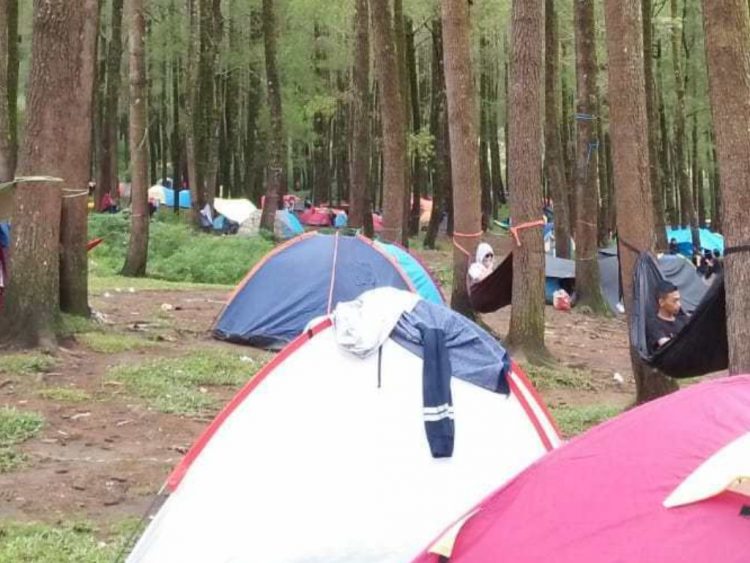 Hutan Pinus Malino via Tagar, 1. Hutan Pinus Malino, 2. Lembanna, 3. Lembah Ramma, 4. Lembah Loe, 5. Danau Tanralili, 6. Jungle Camp, 7. Lembah Hijau Camp &amp; Resort, 8. Parabus Camp, 9. Tinambung Highland Gowa, 10. Puntiung – Bissolloro Camping, 11. Hutan Pinus Rita Malompoa Bissoloro