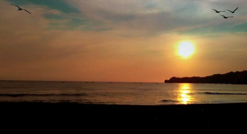 Menikmati Pemandangan Sunrise dan Sunset, Informasi Umum, Lokasi Pantai, Rute Terbaik Menuju Pantai Ngalur Tulungagung, Harga Tiket Masuk Pantai Ngalur, Keindahan Pantai Ngalur, Aktivitas Seru di Objek Wisata Pantai Ngalur, Fasilitas Pantai Ngalur