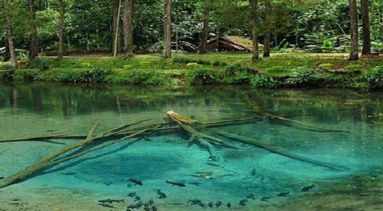 Telaga Rambut Monte di Blitar, Jawa Timur (Foto IG @indoflashlight), Harga Tiket Masuk Telaga Rambut Monte, Keunikan yang Ada di Telaga Rambut Monte, Asal Mula Telaga Rambut Monte, Tempat Menarik di Telaga Rambut Monte Blitar