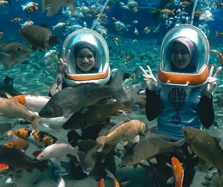 Via Instagram @tripkelilingjogja, Informasi Umum, 4 Rute Menuju Wisata Umbul Ponggok, Harga Tiket Masuk dan Sewa Alat di Umbul Ponggok, Sejarah Umbul Ponggok Klaten, Jawa Tengah, Wisata Diving dan Snorkeling untuk Latihan, Spot Foto Unik di Dalam Air, Fasilitas, Penyewaan Fasilitas Wisata Umbul Pongok, Pesona Keindahan Umbul Pongok