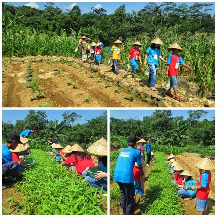 Wisata Edukasi Agro Sentul, 1. Pantai Ancol, 2. Wisata Alam Angke Kapuk, 3. Kebun Raya Bogor, 4. Taman Safari Indonesia, 5. Taman Wisata Wiladatika, 6. Kampung 99 Pepohonan, 7. Situ Cipondoh, 8. Bendungan Pintu Air Sepuluh, 9. Waterboom Lippo Cikarang, 10. Rumah Pohon Bekasi, 11. Pulau Tidung, 12. Kebun Binatang Ragunan, 13. Puncak Pass, 14. Pantai Muara Beting, 15. Danau Cibeureum, 1. Agrowisata Gunung Mas, 2. Warso Farm, 3. Agrowisata Pasir Mukti, 4. Agrowisata Kuntum Nurseries, 5. Sweetberry Agrowisata Puncak, 6. Wisata Edukasi Agro Sentul, 7. D’Kandang Farm, 8. Taman Agro Cilangkap, 9. Cibubur Garden Diary (Cibugary), 10. Agrowisata Belimbing Dewa