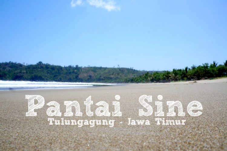 Keindahan Pantai Sine, Rute Menuju Lokasi, Harga Tiket Pantai Sine Tulungagung, Fasilitas Pantai, Budaya Masyarakat di Pantai Sine Tulungagung, Keunggulan yang Ada di Pantai Sine Tulungagung, Aktivitas Seru di Pantai Sine Tulungagung, Objek Wisata Menarik di Sekitar Pantai Sine Tulunagung