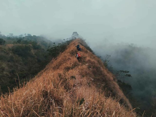 via Ndoro Arum, Lokasi Gunung Sindoro, Tiket Masuk Pendakian Gunung Sindoro, Jam Operasional, Potensi Wisata Gunung Sindoro, Jalur Pendakian Gunung Sindoro