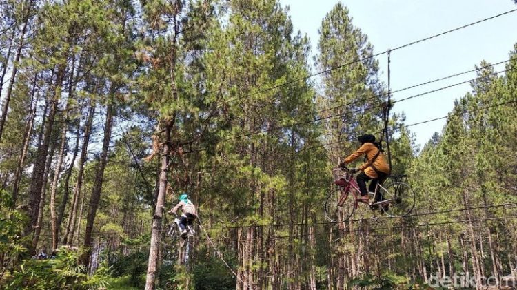 Hutan Pinus Cijambu Tanjungsari via Detik, 1. Puncak Gunung Tampomas, 2. Bendungan Waduk Jati Gede, 3. Bukit Panorama Jatinangor (Wisata Gunung Batu), 4. Taman Buru Gunung Masigit Kareumbi, 5. Situ Biru Cilembang, 6. Hutan Pinus Cijambu Tanjungsari, 7. Bukit Batu Dua, 8. Curug Cinulang, 9. Bukit Nangorak, 10. Curug Sabuk