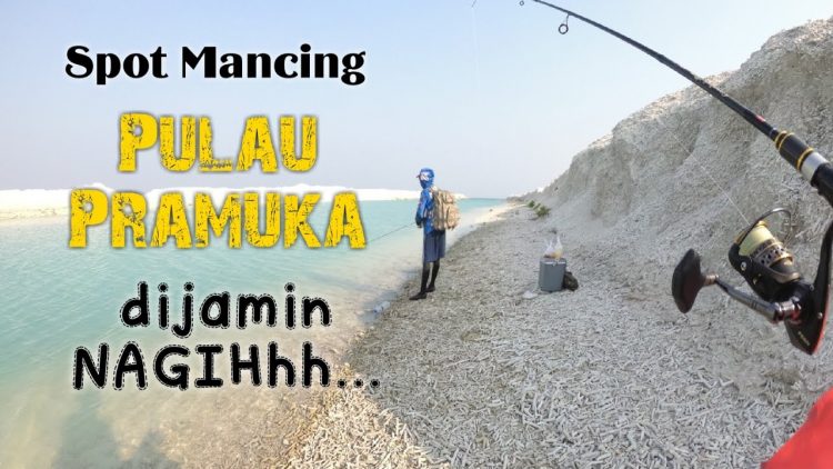 Memancing via Youtube, 1. Melihat Penangkaran Penyu Sisik, 2. Snorkeling di Pulau Pramuka, 3. Menikmati Pemandangan Sunset, 4. Memancing, 5. Mengunjungi Taman Nasional Kepulauan Seribu, 6. Penanaman Bakau, 7. Keramba Ikan, 8. Scuba Diving, 9. Wisata Ilmu Pengetahuan, 10. Jelajah Pulau, 11. Hopping Island
