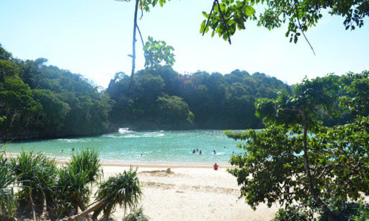 Pasir Putih di Pulau Sempu Malang, Informasi Umum, Rute Menuju Lokasi, Harga Tiket Masuk dan Tarif Perahu, Jam Operasional, Akomodasi, Keindahan Objek Wisata Pulau Sempu, Aktivitas Seru di Pulau Sempu