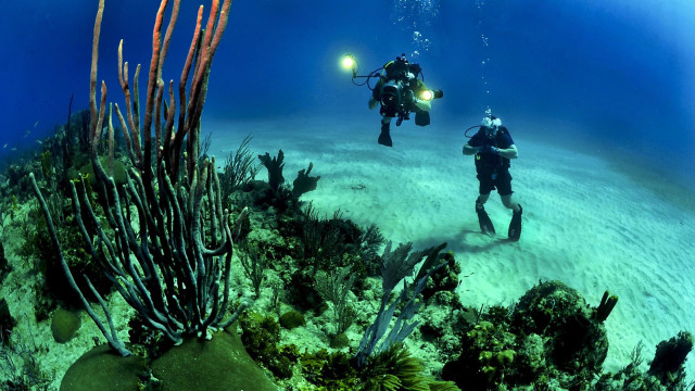 Snorkeling Seru via Kumparan, Akses ke Lokasi Wisata Gili Meno, Transportasi Ke Gili Meno Dari Bali, Biaya &amp; Waktu Kapal Penyeberangan Ke Gili Trawangan, Keunikan Obyek Wisata Gili Meno Lombok, Suasana dan Kondisi di Gili Meno Lombok, Daya Tarik Wisata Pulau Gili Meno, Pantai Gili Meno, Moda Transportasi, Infrastruktur, Aktivitas Liburan Menarik di Pulau Gili Meno