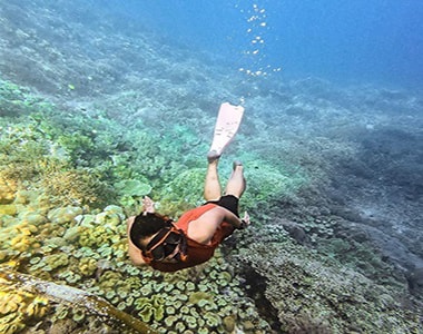 Snorkeling di Pulau Pramuka, 1. Melihat Penangkaran Penyu Sisik, 2. Snorkeling di Pulau Pramuka, 3. Menikmati Pemandangan Sunset, 4. Memancing, 5. Mengunjungi Taman Nasional Kepulauan Seribu, 6. Penanaman Bakau, 7. Keramba Ikan, 8. Scuba Diving, 9. Wisata Ilmu Pengetahuan, 10. Jelajah Pulau, 11. Hopping Island