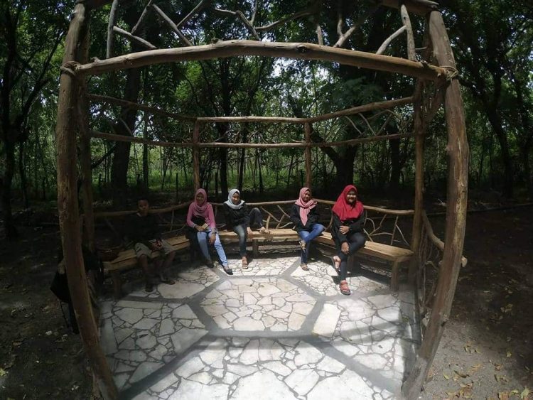 Spot Foto Instagramable di Penangkaran Rusa via IG @dindaa_mutiara, Informasi Umum, Rute Menuju Lokasi Penangkaran Rusa Maliran Blitar, Harga Tiket Masuk Penangkaran Rusa Maliran Blitar, Penangkaran Rusa Maliran, Blitar, Daya Tarik, Aktivitas Seru, Penangkaran Rusa Cariu Bogor