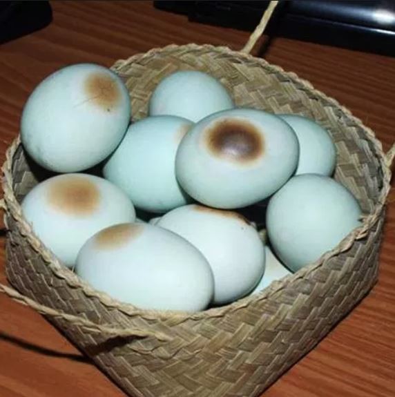 Telur Asin Bakar, 1. Kain Tenun Ikat Sasak, 2. Songket Sasak, 3. Mutiara kha Lombok, 4. Kaos Lombok, 5. Madu Sumbawa, 6. Susu Kuda Liar Sumbawa, 7. Dodol Rumput Laut, 8. Peyek Kangkung Rumput Laut, 9. Terasi Khas Lombok, 10. Kerajinan Tangan Khas Lombok, 11. Tuak Manis Lombok, 12. Kerajinan Tanah Liat, 13. Permen Susu Kuda Liar, 14. Anyaman Ketak, 15. Abon Ikan Marlin, 16. Minyak Gosok Sumbawa, 17. Manisan Tomat, 18. Telur Asin Bakar, 19. Kopi Prabe Lombok, 20. Sambal Encim Lombok, 21. Keripik Ceker Lombok, 22. Stik Kangkung, 23. Stik Rumput Laut Lombok, 24. Kacang Mete Lombok, 25. Manisan Rumput Laut Lombok