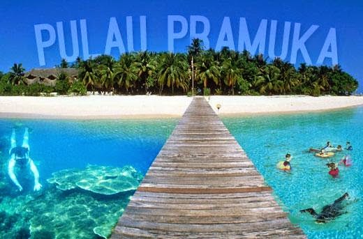 Wisata Ilmu Pengetahuan via Rovers Adventure Indonesia, 1. Melihat Penangkaran Penyu Sisik, 2. Snorkeling di Pulau Pramuka, 3. Menikmati Pemandangan Sunset, 4. Memancing, 5. Mengunjungi Taman Nasional Kepulauan Seribu, 6. Penanaman Bakau, 7. Keramba Ikan, 8. Scuba Diving, 9. Wisata Ilmu Pengetahuan, 10. Jelajah Pulau, 11. Hopping Island