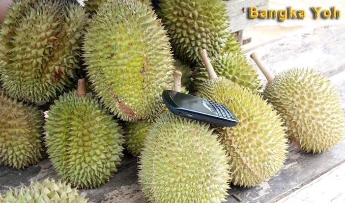 Durian Getar Bumi, 1. Lempah Kuning, 2. Balacan, 3. Sambalingkung, 4. Pantiaw, 5. Lakso Bangka, 6. Kemplang Bangka, 7. Kericu, 8. Kue Jongkong Bangka, 9. Getas Bangka, 10. Bong Li Piang, 11. Mie Belitung, 12. Sup Gangan, 13. Berego, 14. Lakse, 15. Mie Ayam Bangka, 16. Martabak Bangka, 17. Sambal Rusip, 18. Mie Koba, 19. Pletek, 20. Kue Rintak, 21. Teri Krispi, 22. Kecalo, 23. Siput Gong Gong, 24. Otak Otak Bangka, 25. Lempah Darat, 26. Lepet, 27. Soto Ketupat, 28. Lokan Laut, 29. Cacak Ikan, 30. Kue Jungkong, 31. Rujak Daun Ubi Kembang Pepaya, 32. Pempek Panggang, 33. Santan Kepiting, 34. Lempah Kulat, 35. Buah Asinan Kelubi, 36. Durian Getar Bumi