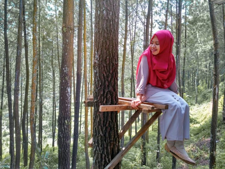 Hutan Pinus Jubel, 1. Air Terjun Pacet Mojokerto, 2. Candi Jolotundo Mojokerto, 3. Petirtaan Jolotundo Mojokerto, 4. Joglo Park Mojokerto, 5. Waterland Mojokerto, 6. Wisata Pacet Mini Park, 7. Pemandian Air Panas Pacet Mojokerto, 8. Wisata Trawas Mojokerto, 9. Gunung Penanggungan, 10. Hutan Pinus Jubel Mojokerto